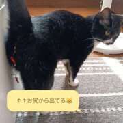 ヒメ日記 2026/08/26 11:57 投稿 横山　しおり リラクゼーションサロン　le Cocon～ルココン～