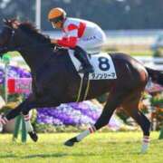 ヒメ日記 2026/08/29 12:06 投稿 横山　しおり リラクゼーションサロン　le Cocon～ルココン～