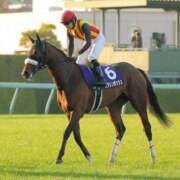 ヒメ日記 2026/08/30 11:18 投稿 横山　しおり リラクゼーションサロン　le Cocon～ルココン～