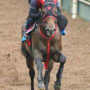 ヒメ日記 2026/09/03 12:06 投稿 横山　しおり リラクゼーションサロン　le Cocon～ルココン～