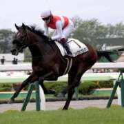ヒメ日記 2026/09/03 22:12 投稿 横山　しおり リラクゼーションサロン　le Cocon～ルココン～