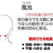 ヒメ日記 2026/10/22 18:26 投稿 横山　しおり リラクゼーションサロン　le Cocon～ルココン～