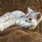 ヒメ日記 2025/02/22 10:27 投稿 椿ひかり AroMarquis（周南店）