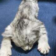 ヒメ日記 2025/05/01 03:18 投稿 椿ひかり AroMarquis（周南店）