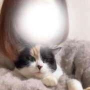 ヒメ日記 2025/10/04 22:30 投稿 椿ひかり AroMarquis（周南店）