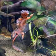 ヒメ日記 2025/11/24 20:48 投稿 椿ひかり AroMarquis（周南店）