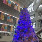 ヒメ日記 2025/12/24 12:18 投稿 椿ひかり AroMarquis（周南店）