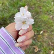 ヒメ日記 2026/02/28 15:57 投稿 椿ひかり AroMarquis（周南店）