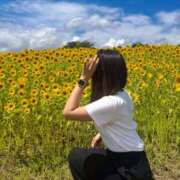 椿ひかり 残り香💐🤍 AroMarquis（周南店）
