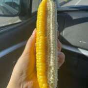 ヒメ日記 2024/12/14 21:54 投稿 みお 上野回春性感マッサージ倶楽部