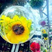 えりこ お久しぶりです☆。.:＊・゜ ナチュラルミセス