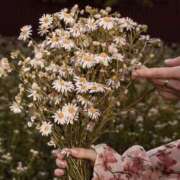 ヒメ日記 2025/04/30 16:06 投稿 あい 超密着癒し性感メンズエステ(米沢)