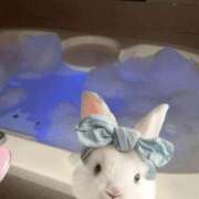 ヒメ日記 2025/06/08 12:08 投稿 あい 超密着癒し性感メンズエステ(米沢)