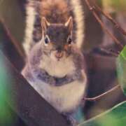 ヒメ日記 2025/07/26 11:19 投稿 あい 超密着癒し性感メンズエステ(米沢)