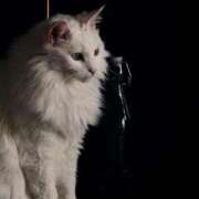 ヒメ日記 2025/08/13 12:29 投稿 あい 超密着癒し性感メンズエステ(米沢)