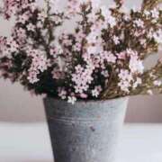 ヒメ日記 2025/09/03 11:23 投稿 あい 超密着癒し性感メンズエステ(米沢)