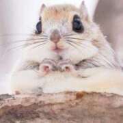 ヒメ日記 2025/10/02 11:36 投稿 あい 超密着癒し性感メンズエステ(米沢)