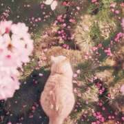 ヒメ日記 2025/10/08 11:19 投稿 あい 超密着癒し性感メンズエステ(米沢)