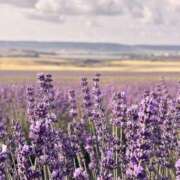 ヒメ日記 2025/10/19 09:18 投稿 あい 超密着癒し性感メンズエステ(米沢)