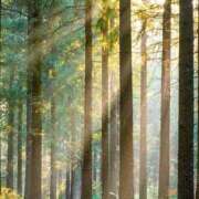 ヒメ日記 2025/10/21 12:22 投稿 あい 超密着癒し性感メンズエステ(米沢)