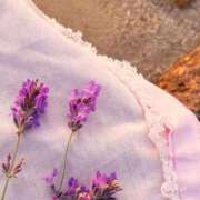 ヒメ日記 2025/11/19 12:02 投稿 あい 超密着癒し性感メンズエステ(米沢)