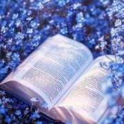 ヒメ日記 2025/11/25 12:25 投稿 あい 超密着癒し性感メンズエステ(米沢)