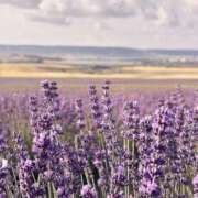 ヒメ日記 2025/12/20 11:52 投稿 あい 超密着癒し性感メンズエステ(米沢)