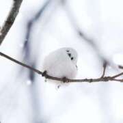 ヒメ日記 2025/12/23 11:40 投稿 あい 超密着癒し性感メンズエステ(米沢)