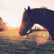 ヒメ日記 2026/01/06 12:34 投稿 あい 超密着癒し性感メンズエステ(米沢)