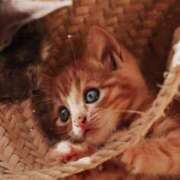 ヒメ日記 2026/01/10 11:55 投稿 あい 超密着癒し性感メンズエステ(米沢)