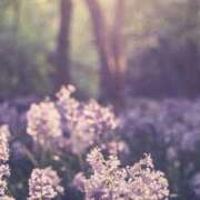 ヒメ日記 2026/01/24 11:42 投稿 あい 超密着癒し性感メンズエステ(米沢)