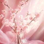 ヒメ日記 2026/03/08 12:15 投稿 あい 超密着癒し性感メンズエステ(米沢)