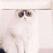 ヒメ日記 2026/03/09 12:01 投稿 あい 超密着癒し性感メンズエステ(米沢)