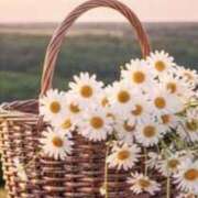 ヒメ日記 2026/03/10 11:47 投稿 あい 超密着癒し性感メンズエステ(米沢)