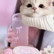 ヒメ日記 2026/03/12 14:46 投稿 あい 超密着癒し性感メンズエステ(米沢)