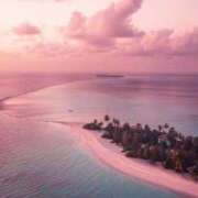 ヒメ日記 2026/03/19 11:52 投稿 あい 超密着癒し性感メンズエステ(米沢)