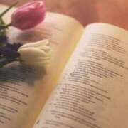 ヒメ日記 2026/03/29 11:40 投稿 あい 超密着癒し性感メンズエステ(米沢)