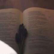 ヒメ日記 2026/04/04 11:45 投稿 あい 超密着癒し性感メンズエステ(米沢)