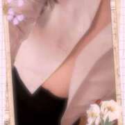 ヒメ日記 2025/04/19 15:15 投稿 みほ コスパラ(梅田)