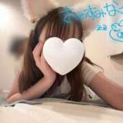 みほ 明日会いたいな🐻‍❄️🌸 コスパラ(梅田)