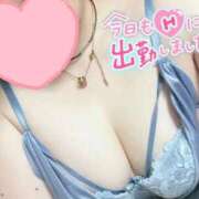 ヒメ日記 2025/11/18 09:53 投稿 すみれ 奥様特急　池袋・大塚店