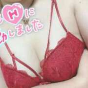 ヒメ日記 2025/11/27 10:00 投稿 すみれ 奥様特急　池袋・大塚店