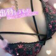 ヒメ日記 2025/12/19 10:00 投稿 すみれ 奥様特急　池袋・大塚店