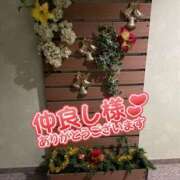 ヒメ日記 2024/12/14 02:09 投稿 かんな 水戸人妻花壇