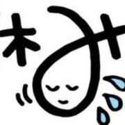 ヒメ日記 2024/12/17 14:27 投稿 かんな 水戸人妻花壇