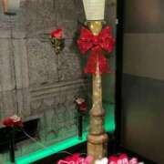 ヒメ日記 2025/01/29 00:36 投稿 かんな 水戸人妻花壇