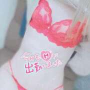 ヒメ日記 2025/02/06 16:03 投稿 かんな 水戸人妻花壇