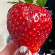 ヒメ日記 2025/02/19 21:24 投稿 かんな 水戸人妻花壇