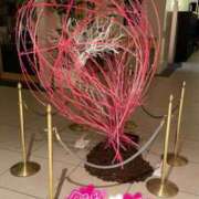 ヒメ日記 2025/03/02 01:58 投稿 かんな 水戸人妻花壇