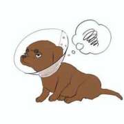 ヒメ日記 2025/06/28 10:49 投稿 かんな 水戸人妻花壇